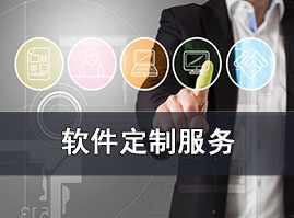 软件定制服务 软件定制服务